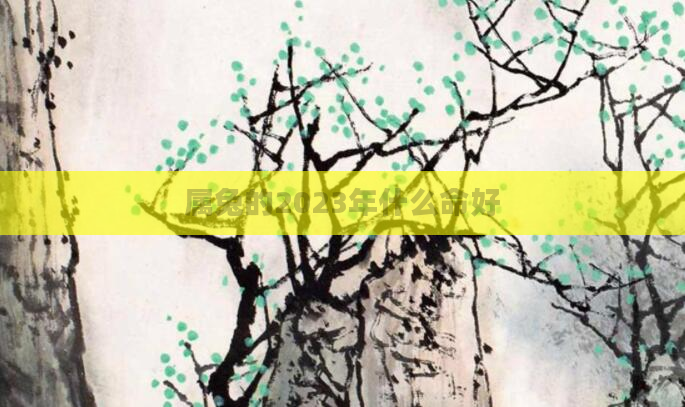 属兔的2023年什么命好