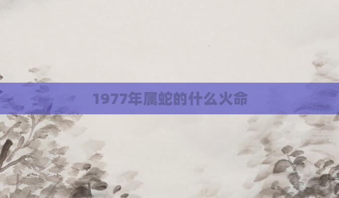 1977年属蛇的什么火命