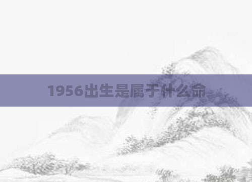 1956出生是属于什么命