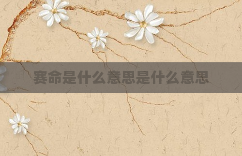 赛命是什么意思是什么意思