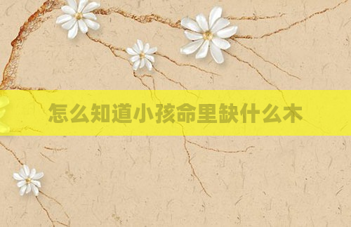 怎么知道小孩命里缺什么木