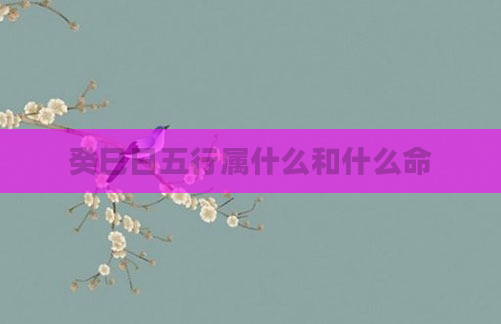 癸巳日五行属什么和什么命