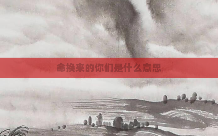 命换来的你们是什么意思