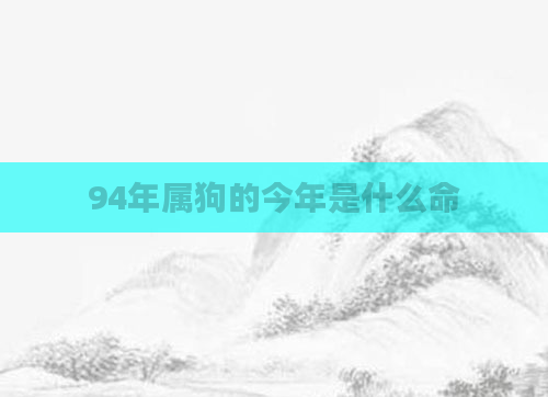 94年属狗的今年是什么命