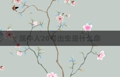 属牛人20号出生是什么命