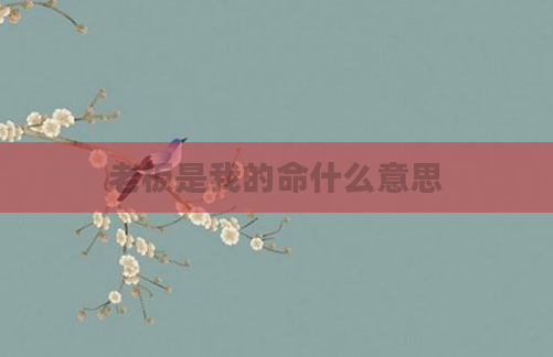 老板是我的命什么意思