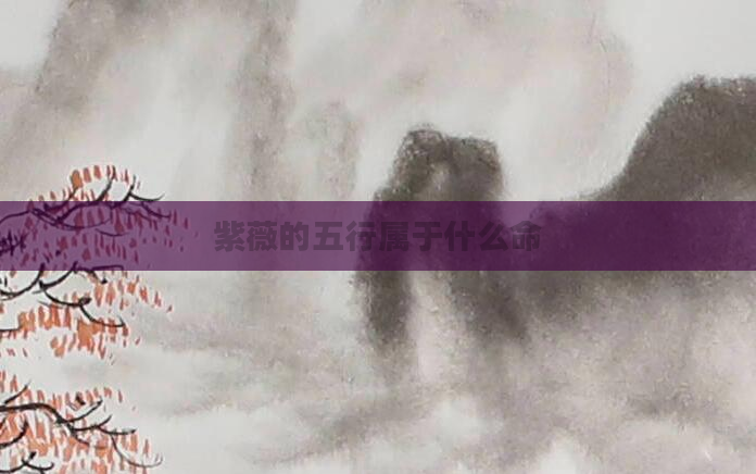 紫薇的五行属于什么命