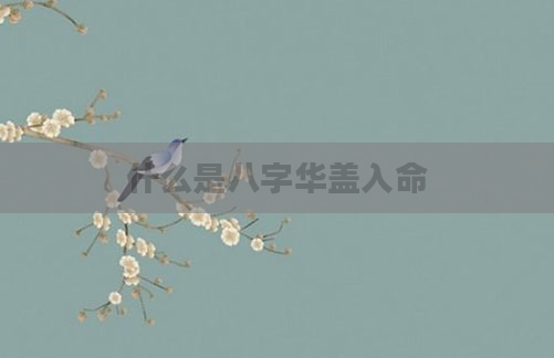什么是八字华盖入命