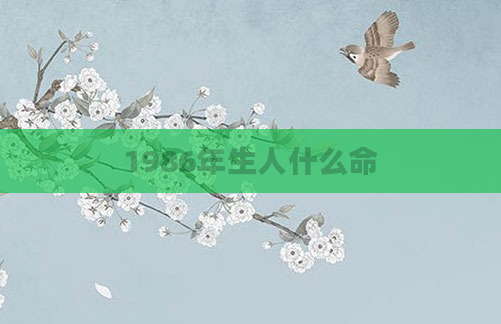 1986年生人什么命