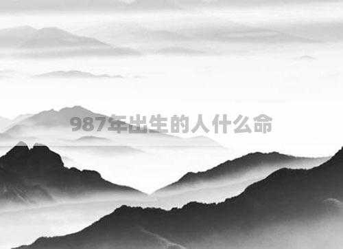 987年出生的人什么命