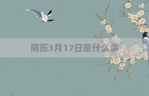 阴历3月17日是什么命