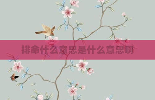 排命什么意思是什么意思啊
