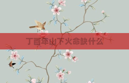 丁酉年山下火命缺什么