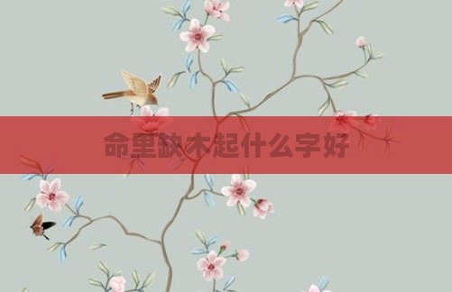 命里缺木起什么字好