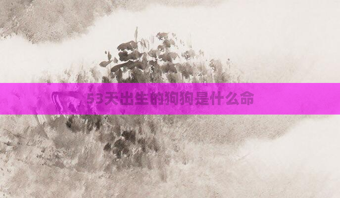 53天出生的狗狗是什么命