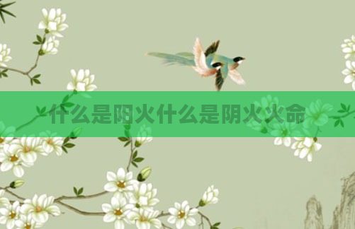 什么是阳火什么是阴火火命