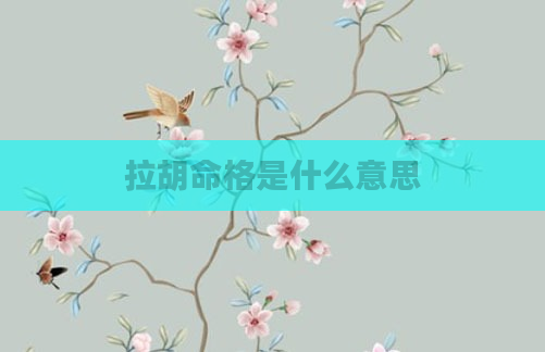 拉胡命格是什么意思