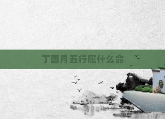 丁酉月五行属什么命
