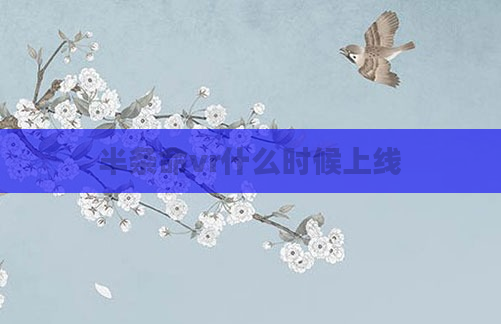 半条命vr什么时候上线