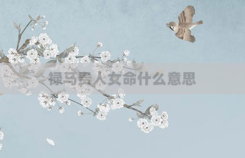 禄马贵人女命什么意思