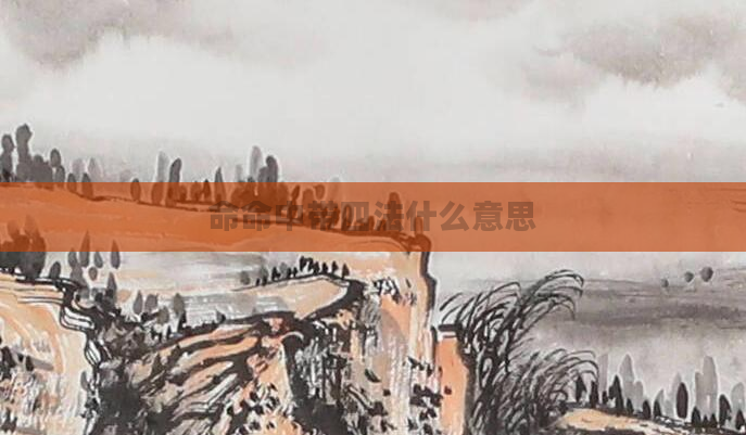 命命中带四法什么意思