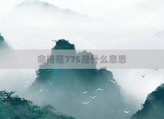 命格是775是什么意思