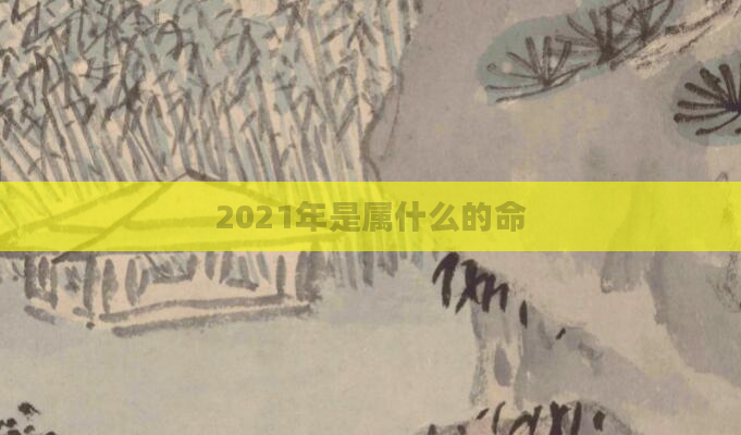 2021年是属什么的命
