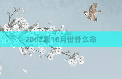 2002年10月份什么命