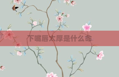 下嘴唇太厚是什么命