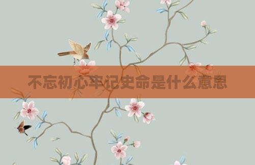 不忘初心牢记史命是什么意思