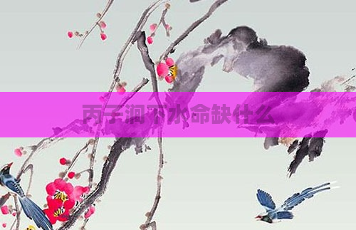 丙子涧下水命缺什么