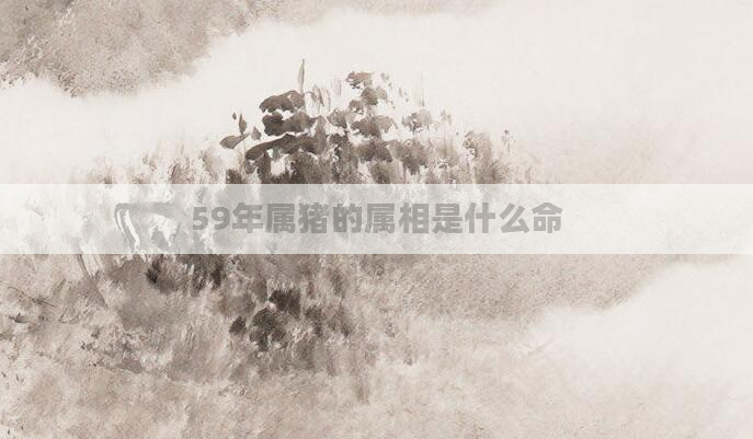 59年属猪的属相是什么命