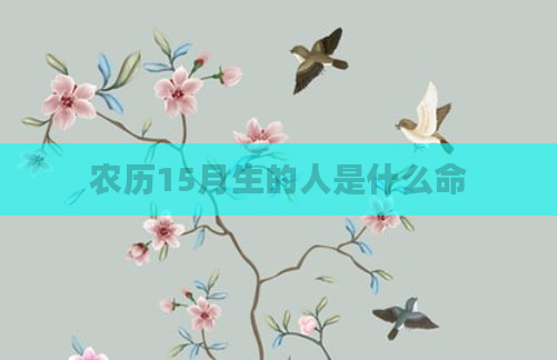农历15月生的人是什么命