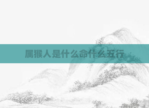 属猴人是什么命什么五行