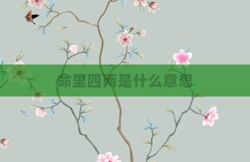 命里四两是什么意思