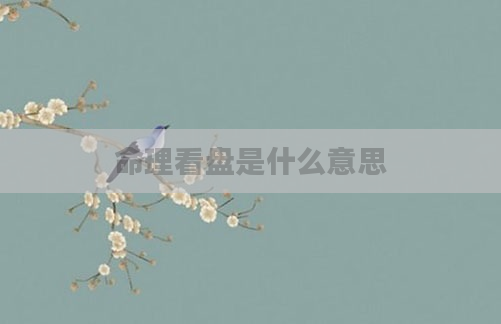 命理看盘是什么意思