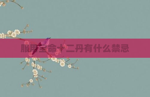 服用宝命十二丹有什么禁忌