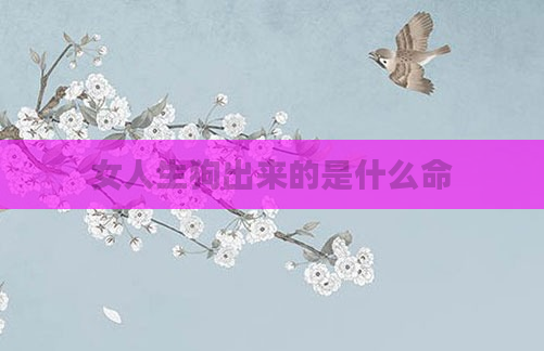 女人生狗出来的是什么命