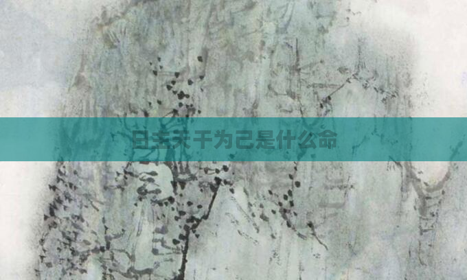 日主天干为己是什么命