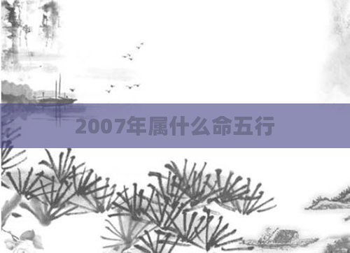 2007年属什么命五行