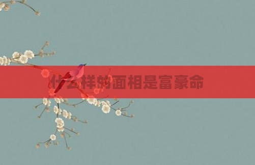 什么样的面相是富豪命