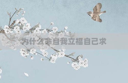 为什么命自我立福自己求