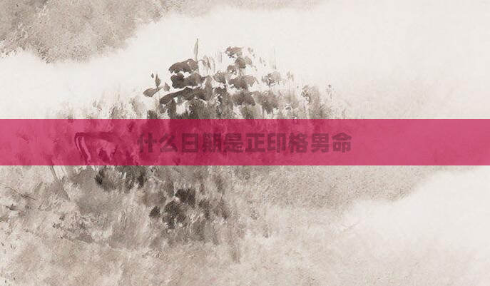 什么日期是正印格男命