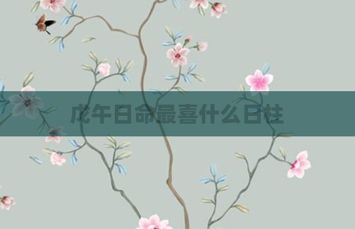 戊午日命最喜什么日柱