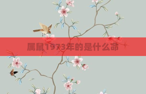 属鼠1973年的是什么命