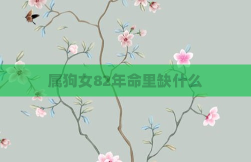 属狗女82年命里缺什么