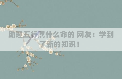 助理五行属什么命的 网友：学到了新的知识！