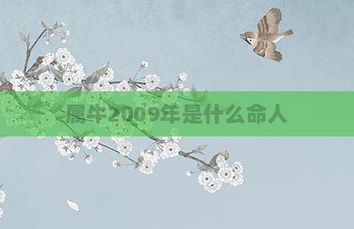 属牛2009年是什么命人