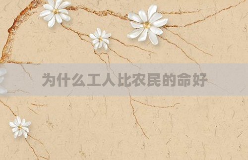 为什么工人比农民的命好