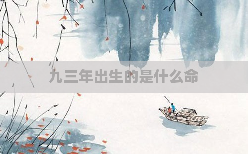 九三年出生的是什么命